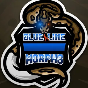 Blue Line Morphs logo featuring a ball python
